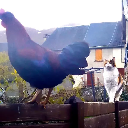 D'hotes Les Chatougoulis 3*