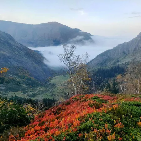 D'hotes Les Chatougoulis Bed & Breakfast 3*