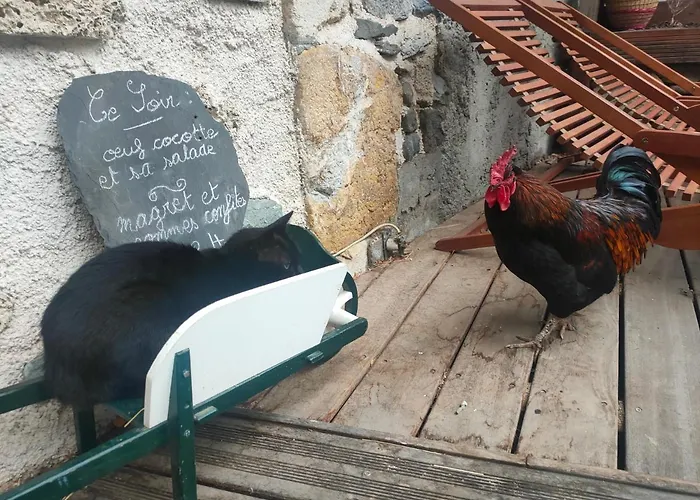 D'hotes Les Chatougoulis Bed & Breakfast Les Bordes-sur-Lez