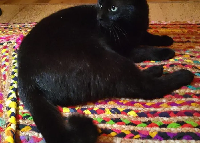 D'hotes Les Chatougoulis Bed & Breakfast