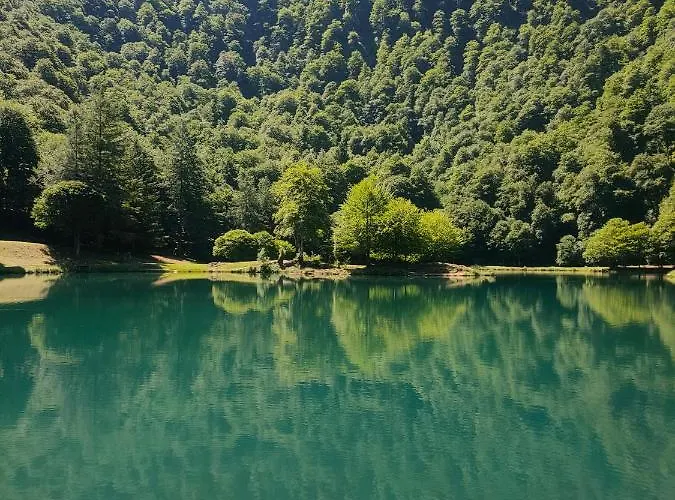 D'hotes Les Chatougoulis Bed & Breakfast Les Bordes-sur-Lez