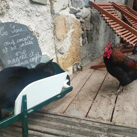 D'hotes Les Chatougoulis Panzió Les Bordes-sur-Lez