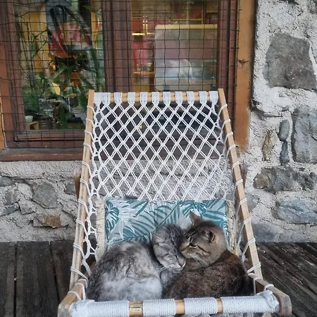 D'hotes Les Chatougoulis Panzió Les Bordes-sur-Lez