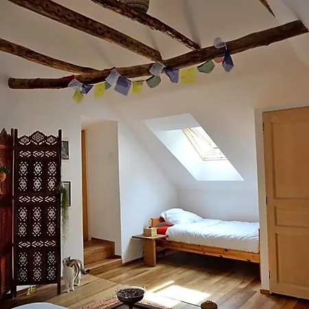 D'hotes Les Chatougoulis