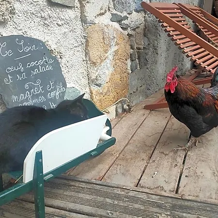 Bed & Breakfast D'hotes Les Chatougoulis