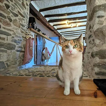 D'hotes Les Chatougoulis Bed & Breakfast 3*